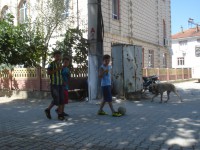 /album/yildiz-koyu-susurluk-balikesir/dsc05325-jpg/
